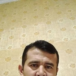 , 38, 