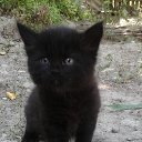 ���� �������, ����������� - ��������� 12 ������ 2025 � ������ ������ ��������