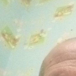 ��������, ������, 66 ���