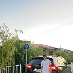 Amir, �������, 18 ���
