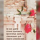 ���� �������, ������ ����� - ��������� 6 ������� 2026 � ������ ������ ��������