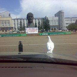 �����, ������, 42 ����