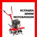 ���� ��������, ������-��-����, 38 ��� - ��������� 17 ������� 2026 � ������ ������ ��������