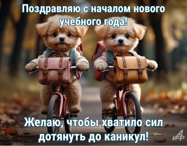 ОБО ВСЕМ - 1 сентября 2025 в 11:33