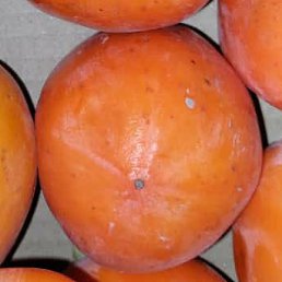 ��������� ������, ������, 27 ���