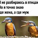 ���� ��������, ������, 53 ���� - ��������� 30 ������� 2023 � ������ ������ ��������