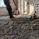 ���� �������, ������, 53 ���� - ��������� 13 ������ 2026