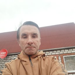 ���� ������� 41, ���������, 43 ���� - ��������� 14 ����� 2024