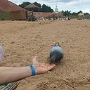 ���� ������, ������� ��������, 50 ��� - ��������� 24 ���� 2024