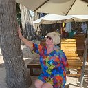 ���� �����, ����������� - ��������� 3 ������ 2026 � ������ ���� ����������