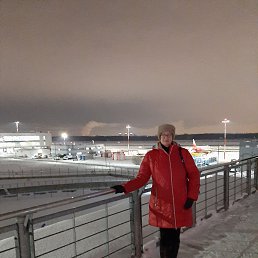 ���� ���, ������, 53 ���� - ��������� 8 ������ 2026