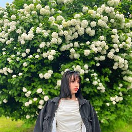 ��������, �����-���������, 23 ����