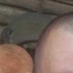 ������, ������������, 41 ���