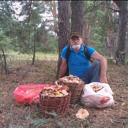 ���� ��������� ������, ������������, 68 ��� - ��������� 26 ����� 2024