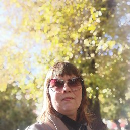 ���� �����, ����, 43 ���� - ��������� 1 ������� 2024