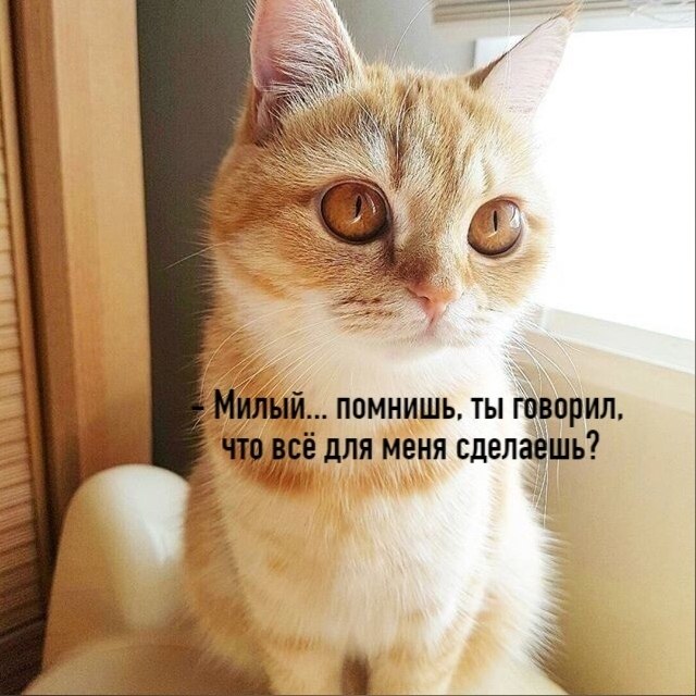 ��� ���� � ����� �� �� - 1 ���� 2026 � 15:02