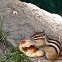 ���� ������, ������, 51 ��� - ��������� 16 �������� 2024 � ������ ���� ����������