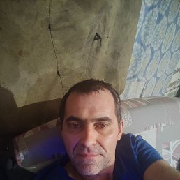 , 44 , 