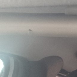 ��������, ������, 52 ����