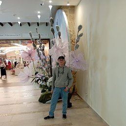 ������, �����������, 40 ���