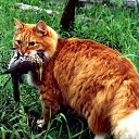 ���� �������, ������, 55 ��� - ��������� 28 �������� 2025 � ������ ������� ���