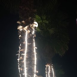 ���� �����, ������, 48 ��� - ��������� 15 ������� 2025