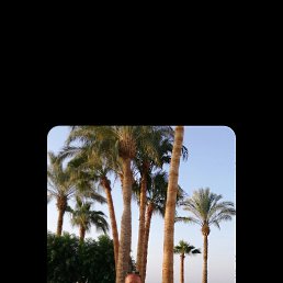 ���� ����, ������, 62 ���� - ��������� 10 ���� 2025