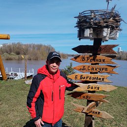 �������, 37 ���, �����