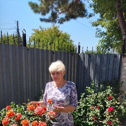 , 65, 