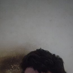 ���� ����, �����������, 34 ���� - ��������� 13 ������ 2026