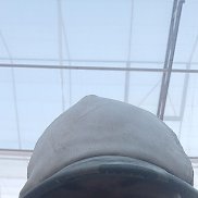 , 33 , 