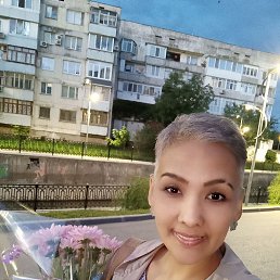 ���� ��������, 24 ����, ��������