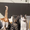 ���� ������, �����, 47 ��� - ��������� 7 ������� 2024