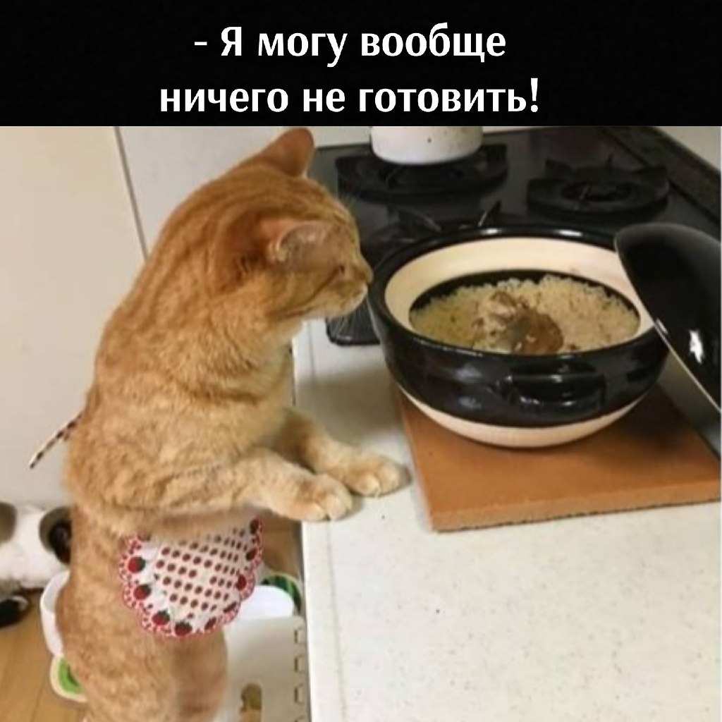 ��� ���� � ����� �� �� - 17 ����� 2026 � 17:00 - 5