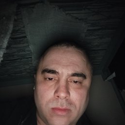 �����, 38 ���, ����