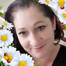 �������, �������, 41 ���