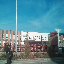 ������, ����, 41 ���