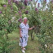 �����, 64 ����, ������