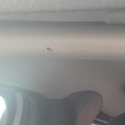 ��������, 52 ����, ������