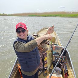 ����, ������, 47 ���