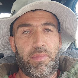 �����, ������, 41 ���