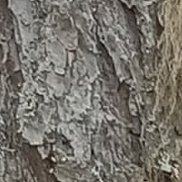 �����, 42 ����, ������� �����