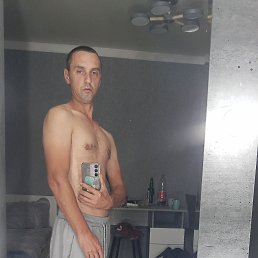 , 37, 