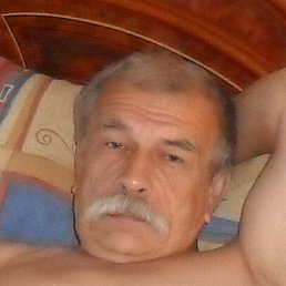 ���� �����, ������ - ��������� 1 ��� 2026