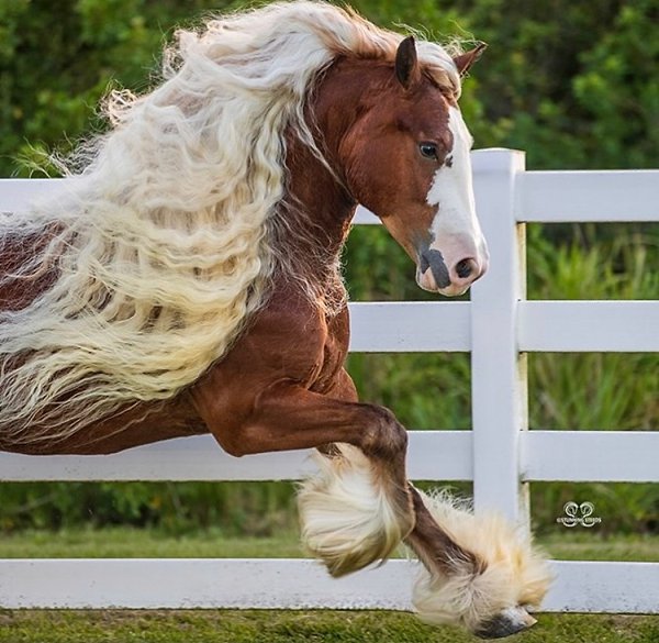  -   ! - 28  2025  14:23