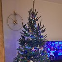 ���� �����, ����� - ��������� 1 ������ 2026 � ������ ���� ����������