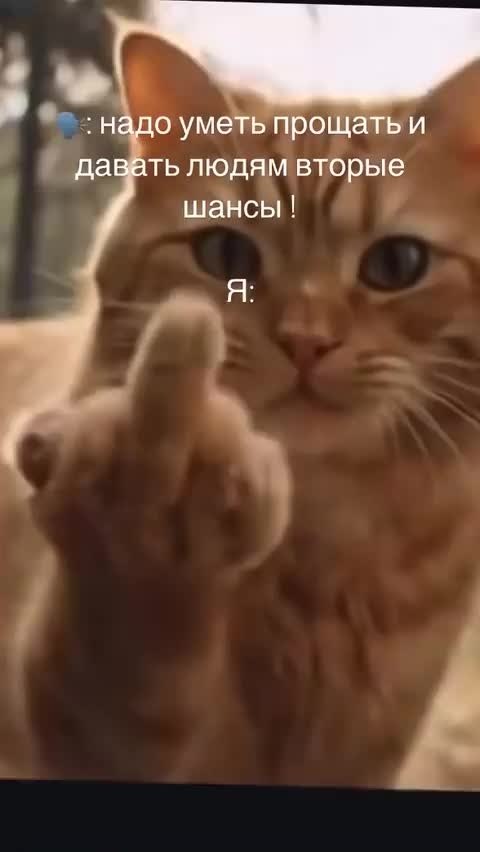 o��oc���. ����� ������� - 2