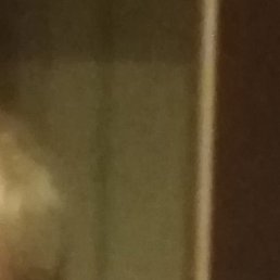 ��������, ������, 61 ���