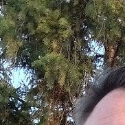 , 44 , -