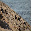 ���� V@lenti, ����� - ��������� 29 ������ 2026 � ������ �������� �����